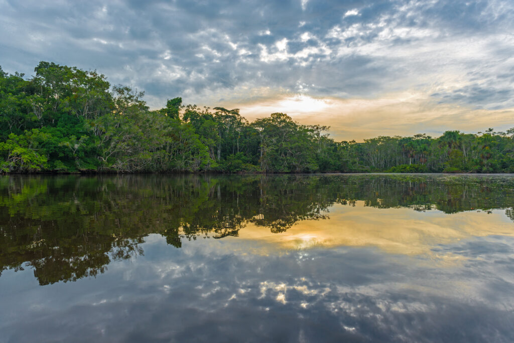 Reflection,of,a,sunset,on,the,banks,of,the,amazon